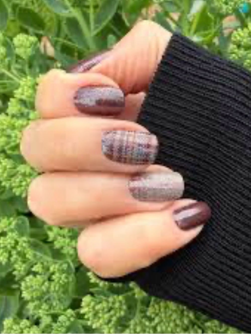 Color Street BOURBON & Bookshelves w/ Plaid & Shimmer Press-On Nails